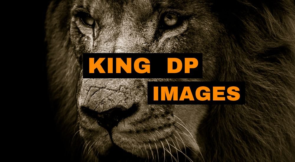 KING DP IMAGE