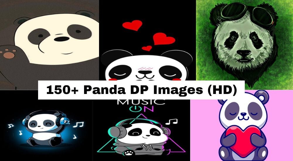 Panda DP Images
