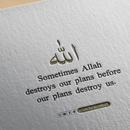 250+ Beautiful Islamic DP Images for Whatsapp 38 quran ayat