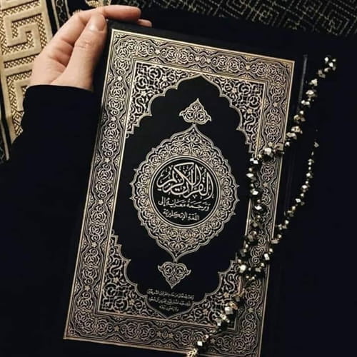 250+ Beautiful Islamic DP Images for Whatsapp 7 quran in hand