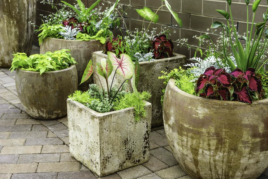 Enhancing Your Garden with Large Outdoor Pots and Planters 2 Outdoor Pots and Planters