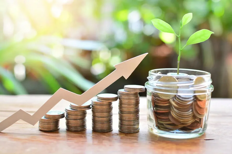 Flexi Cap Funds That Provide Portfolio