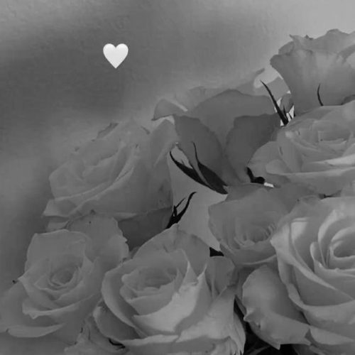 black roses
